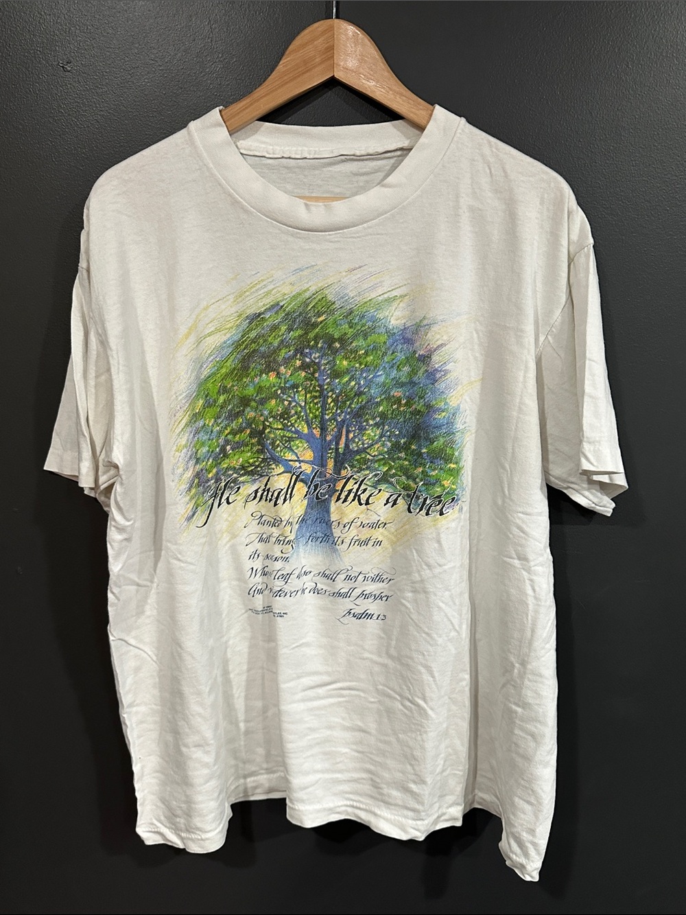 Jesus Tee Religious Men’s Tee with Green & Blue Tree Graphic XL